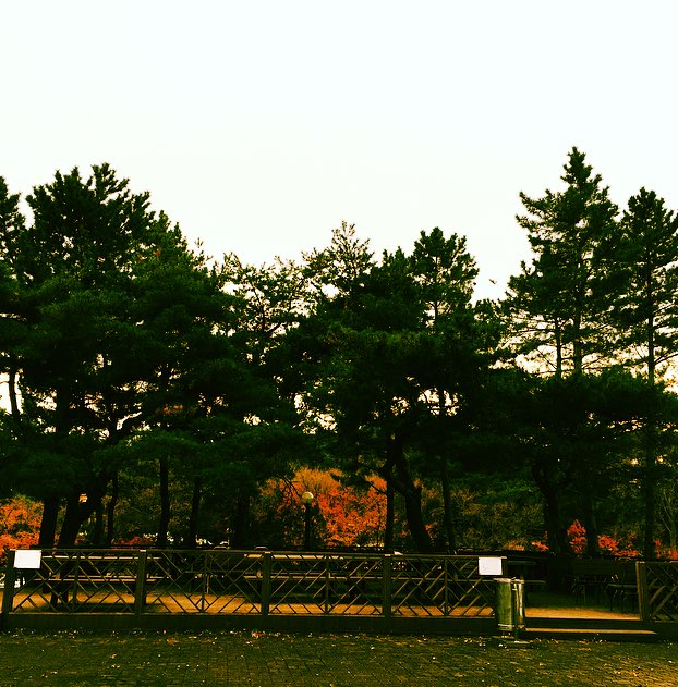 [공모]숨겨진 원효관의 보물 